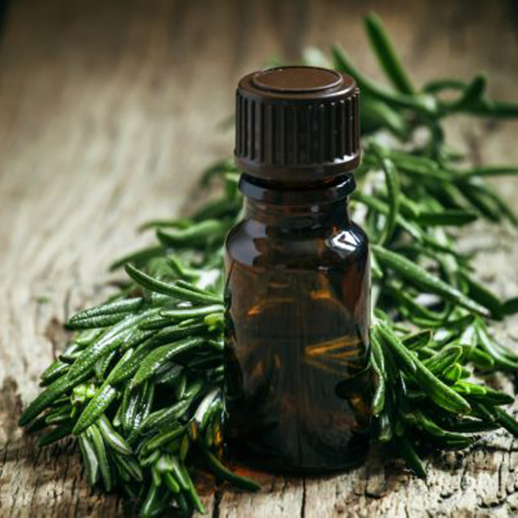 natural Australian tea tree oil price in bulk