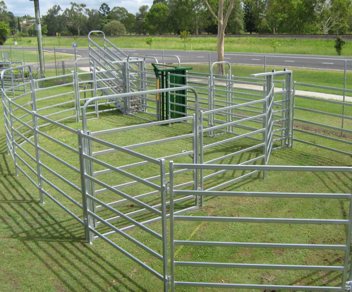 cattle fence