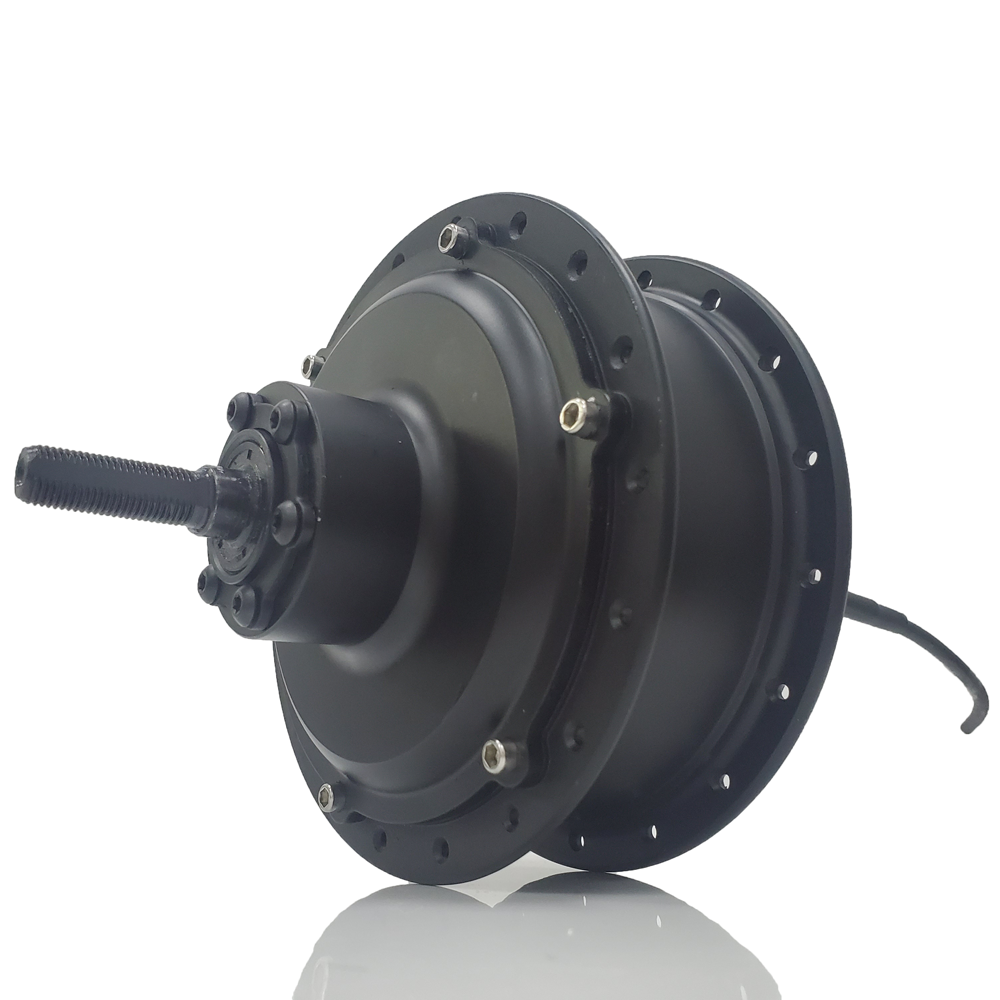 Ebike Hub Motor