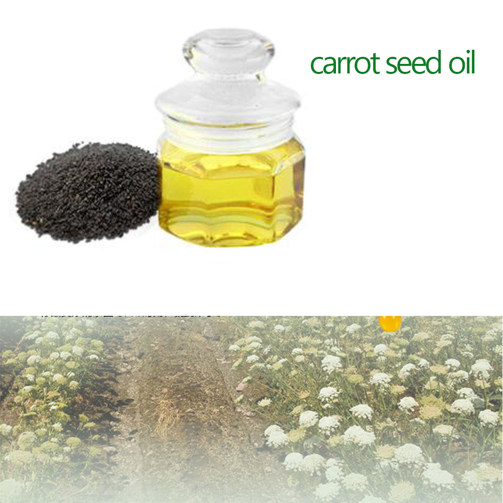 carrot seed oil