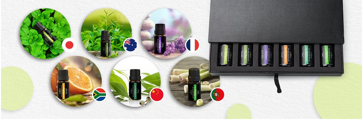 Bulk natural cypress essential oil price