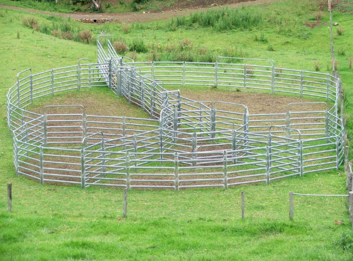 horse fence