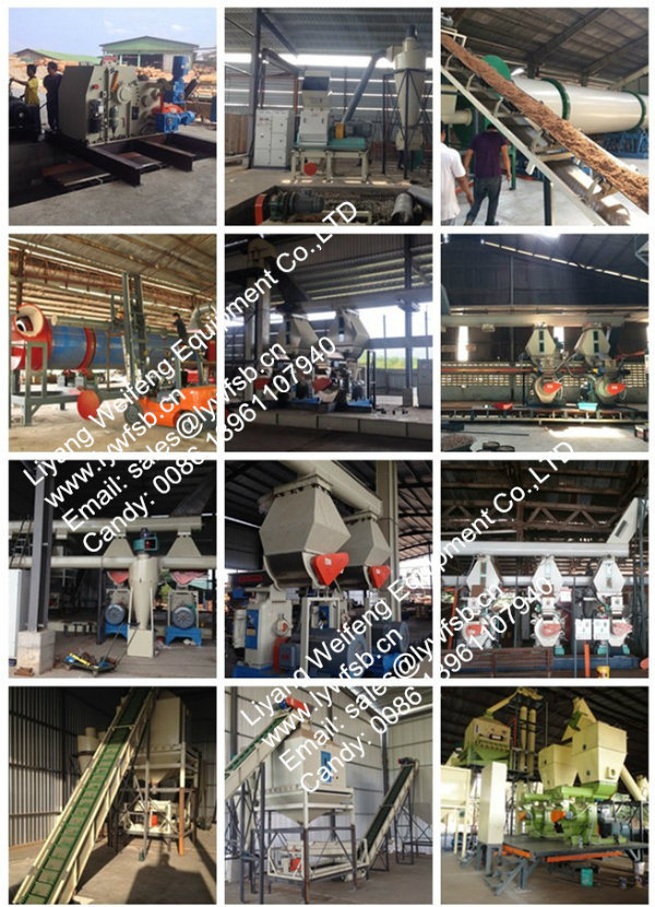 Biomass Wood Pellet Making Machine Ce Wood Pellet Mill