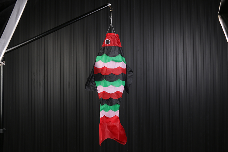 Flying Carp Windsock Flag