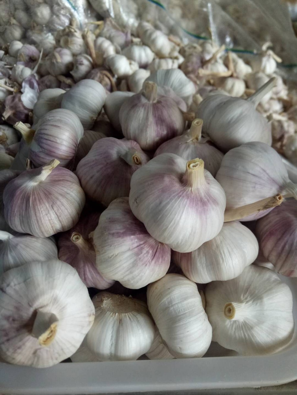 The cheapest and The smallest of garlic