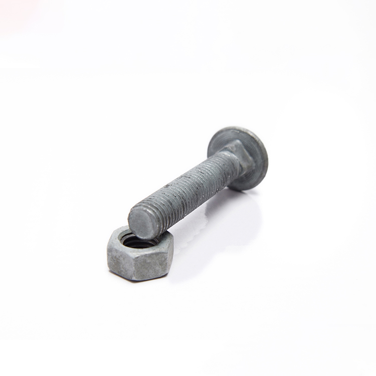 hot dip galvanized Carriage Bolts