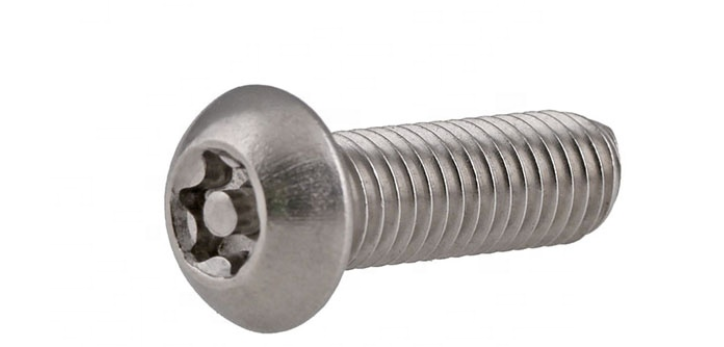 Stainless Steel Security Screw