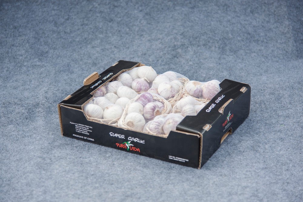 High quality fresh single clove garlic