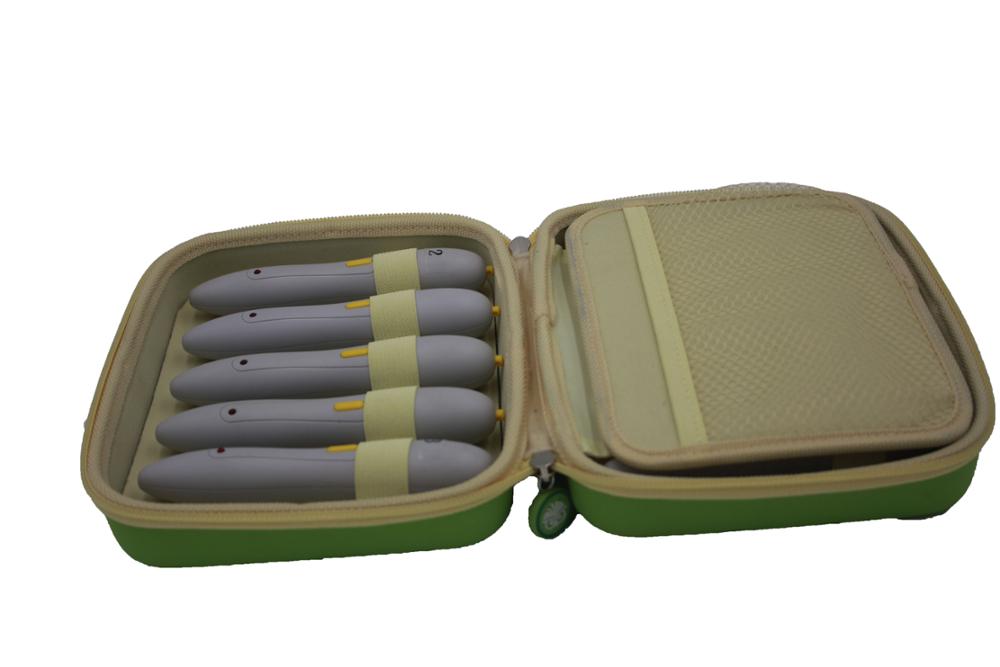 eva case eva case