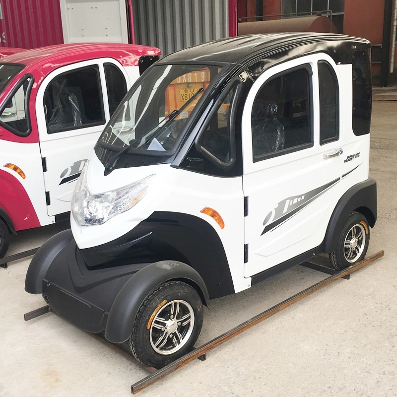 black Totally Enclosed Electric Car