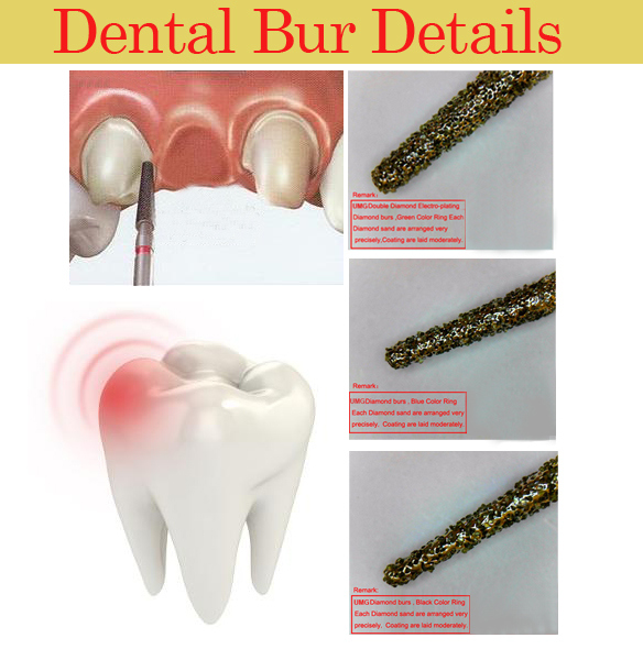 Dental Surgical Equipment Dental Bur