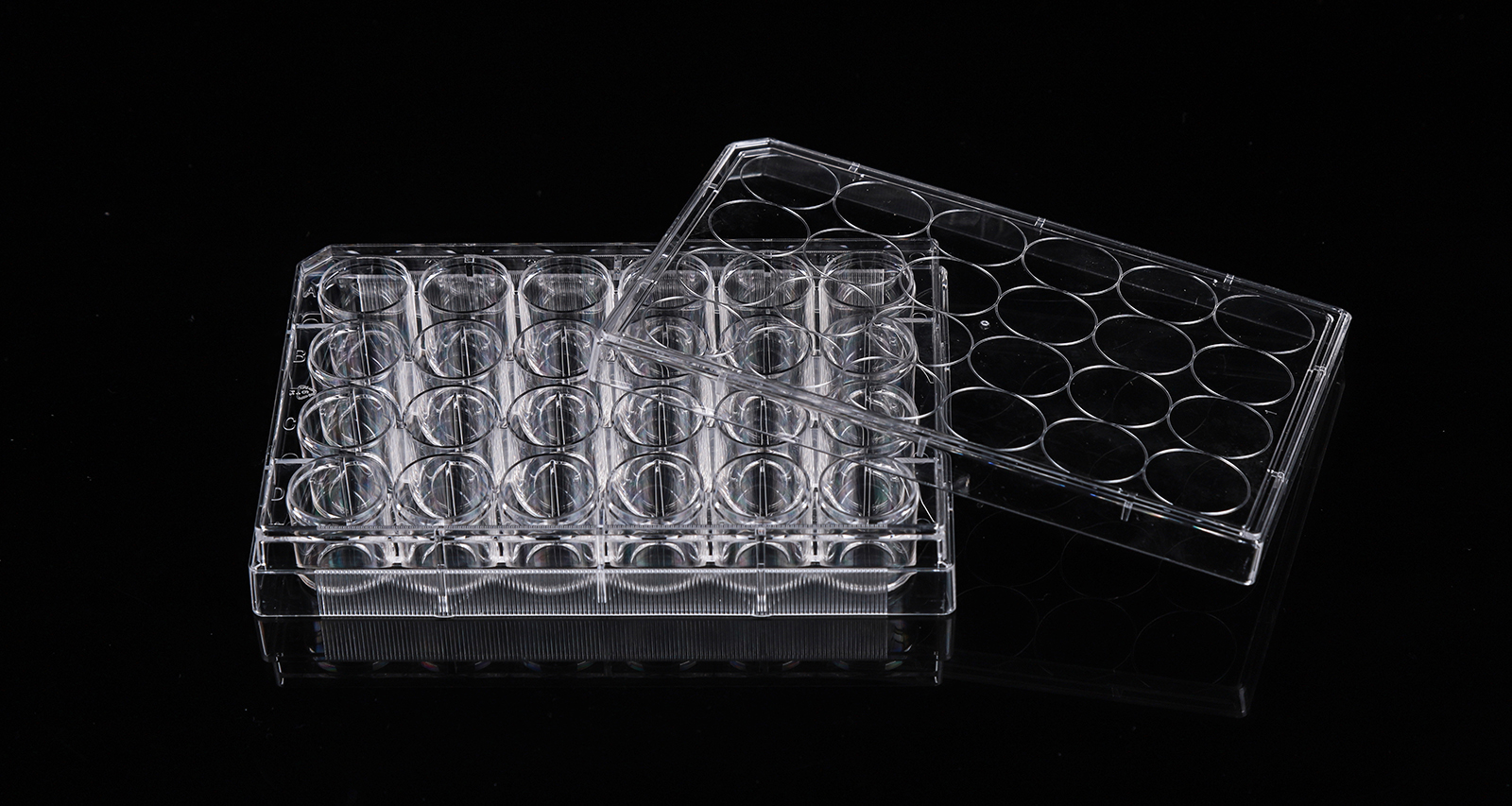 Glass Bottom Cell Culture Plates