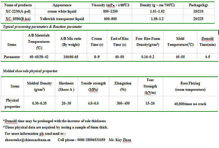 POLYESTER-POLYURETHANE FOOTWEAR SYSTEM