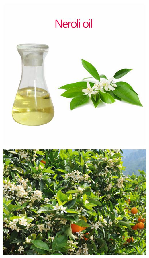 neroli oil 