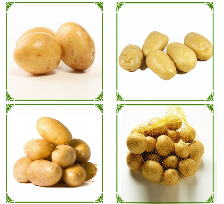 2016 China 100g Fresh Potatoes 