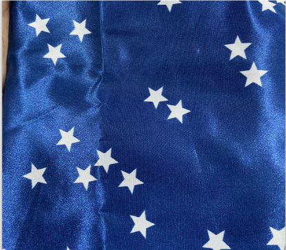 100% Polyester Printed Fabric