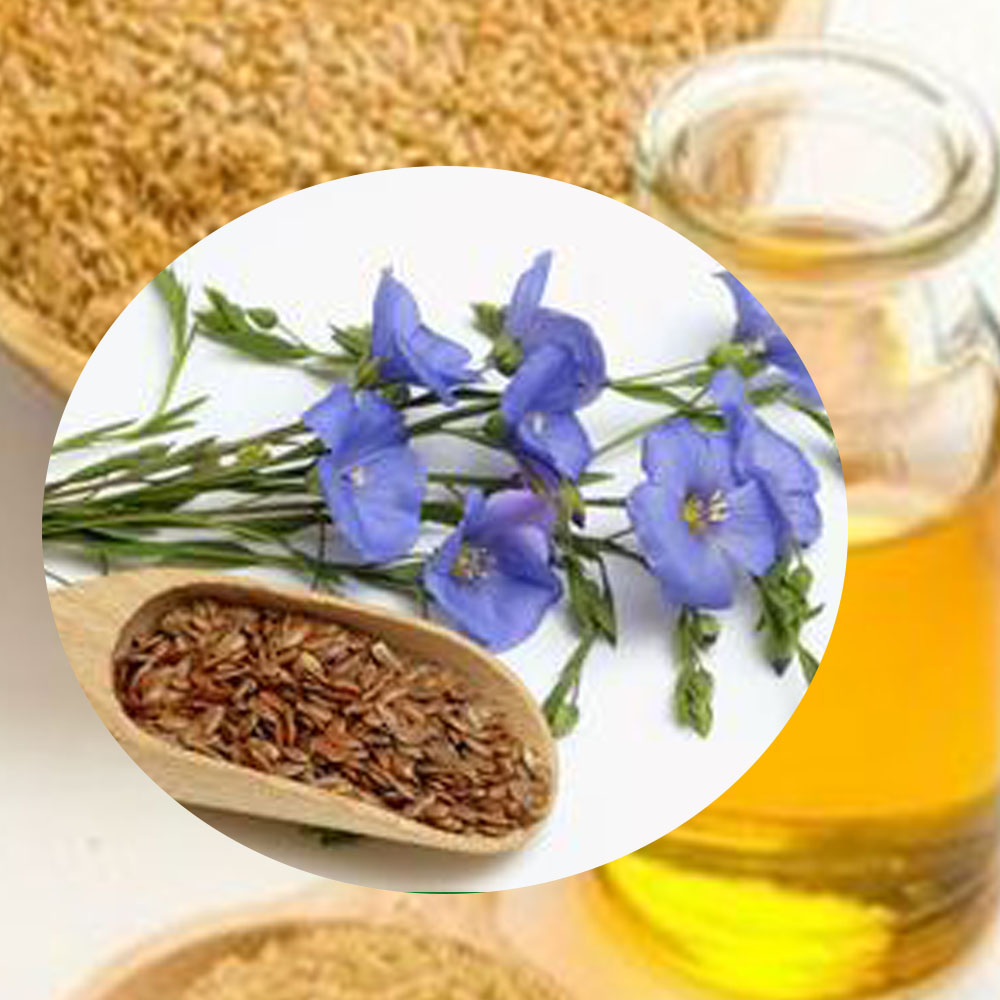 cumin oil