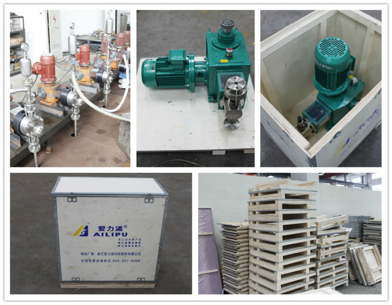 stainless steel plunger metering pump