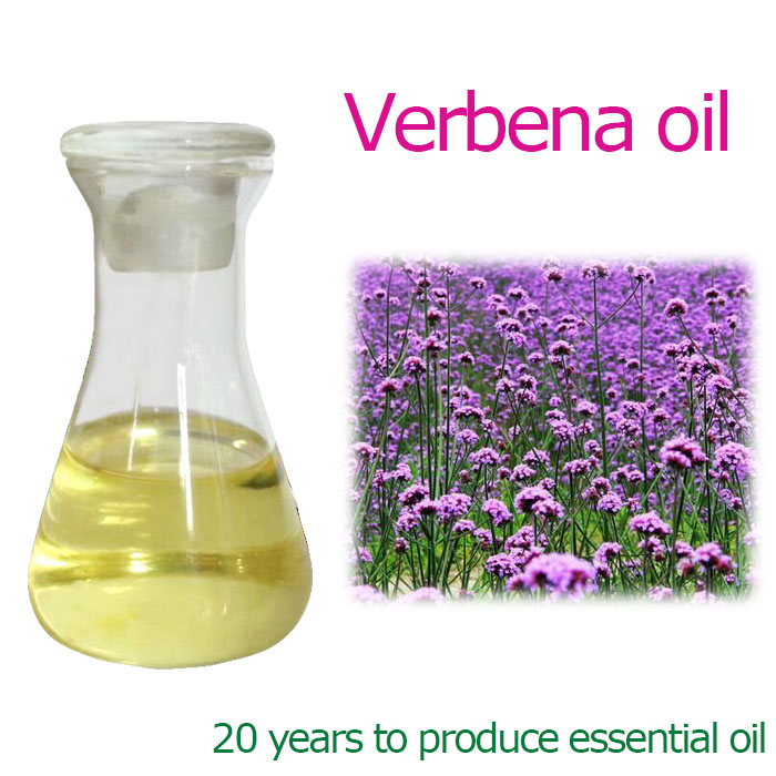 verbena oil