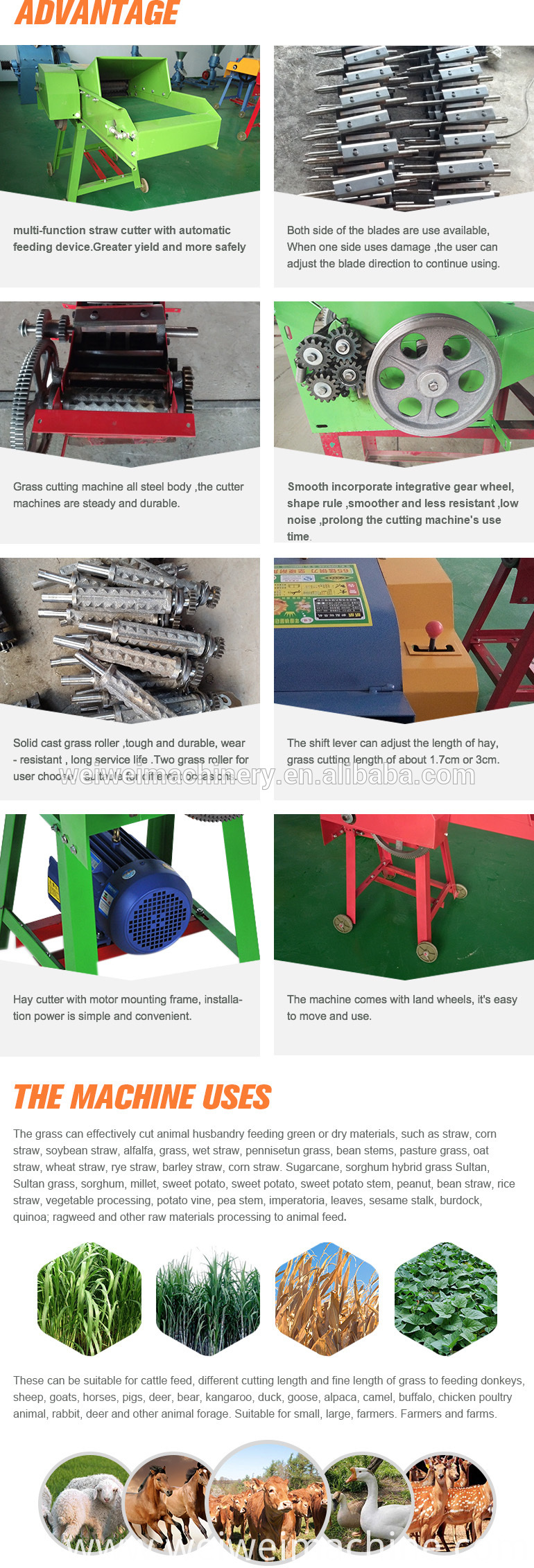 Grass Cutting Machine Service Near Me / Farm Machines For Carpet Grass Trimming Cutting Cutter Machine Price Whatsapp 13782789572 Buy Grass Cutter Price Carpet Grass Trimming Machine Farm Machines For Grass Cutting Product On Alibaba Com : Cleaning, fitness, it, photography, storage, moving, massage and more on kijiji, canada's i'm offering grass cutting for small lawns @ $25!