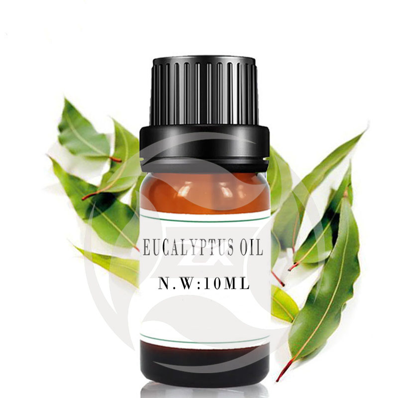 Eucalyptus Oil