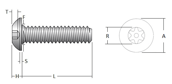 Stainless Steel Security Screw