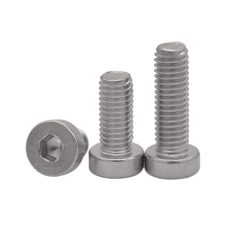 Stainless Steel Hexagon Socket Thin Head Screws