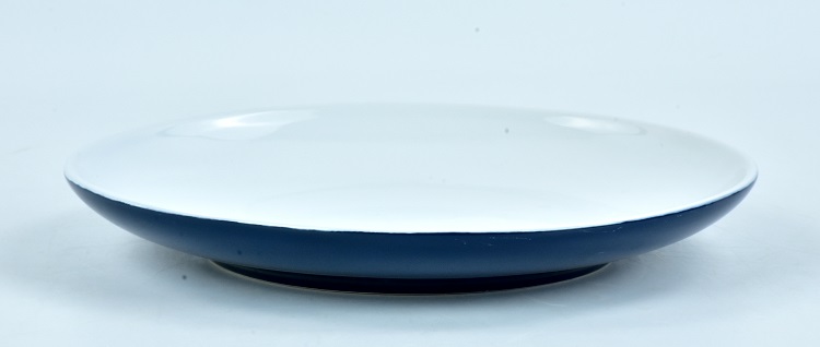 Dinner Plate