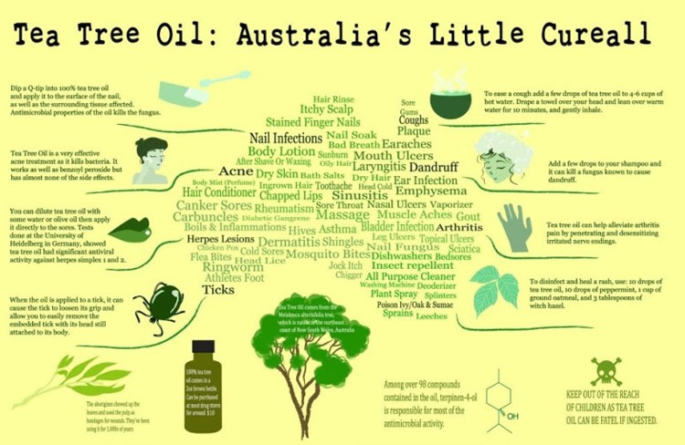 natural Australian tea tree oil price in bulk