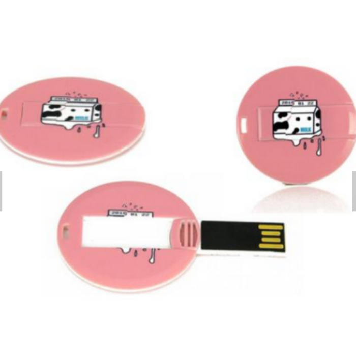 Promotional Usb Flash Drive