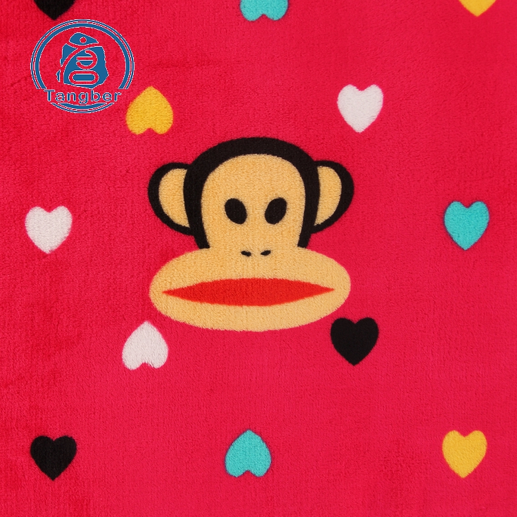 Printed Flannel Fabrics