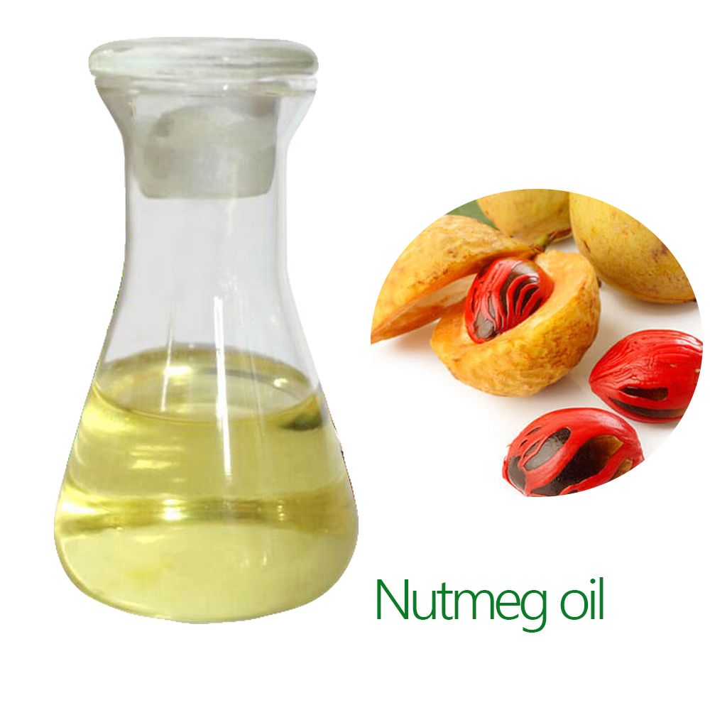 Therapeutic Aromatherapy Enang Nutmeg Oil Nutmeg Myristica Fragrans Pure Essential Oil Premium Therapeutic Grade Nutmeg Oil Bulk