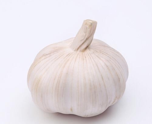 Chinese cold storage Pure White Garlic price