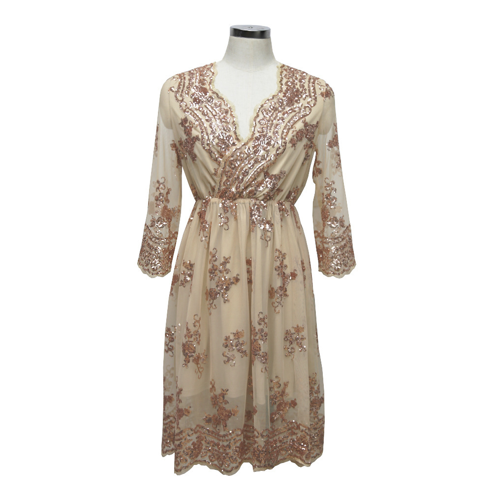 Sequin Mesh Embroidered Dress
