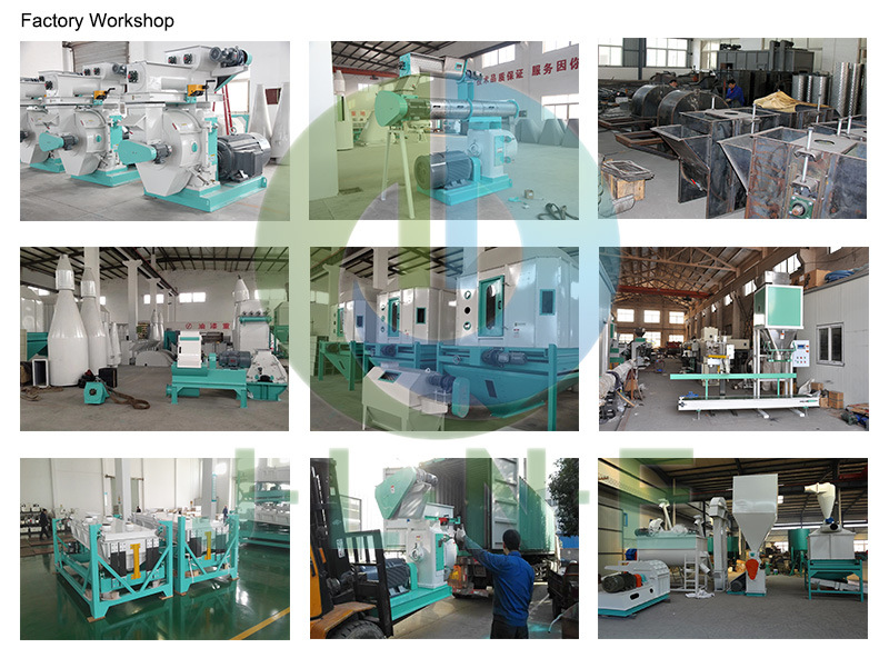 Wood Pellet Mill Machine Automatic Equipment