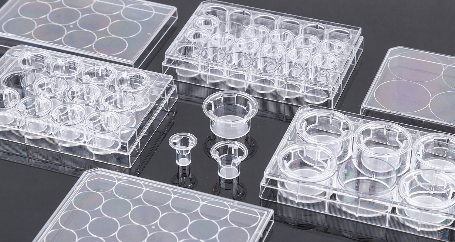 Cell Culture Inserts