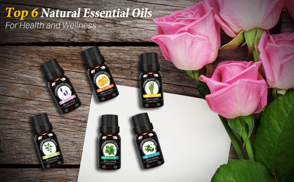 Essential Oils Gift Set