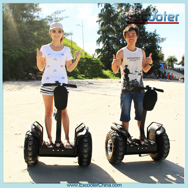 2 Wheel Electric Folded Balance Scooter for Adult with CE