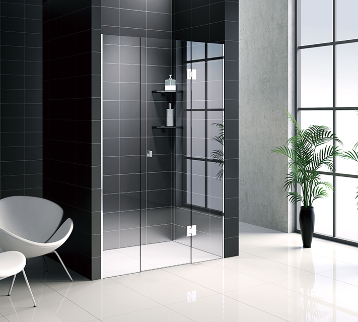 Shower Door Glass