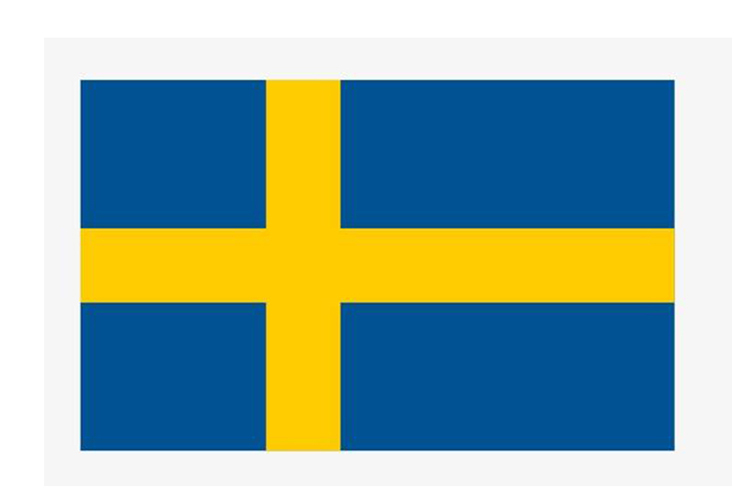 Custom Size Sweden Promotion National Banner Flags