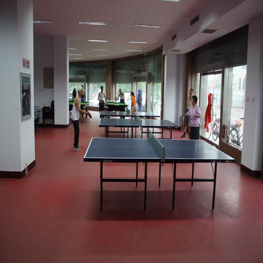 enlio table tennis floors