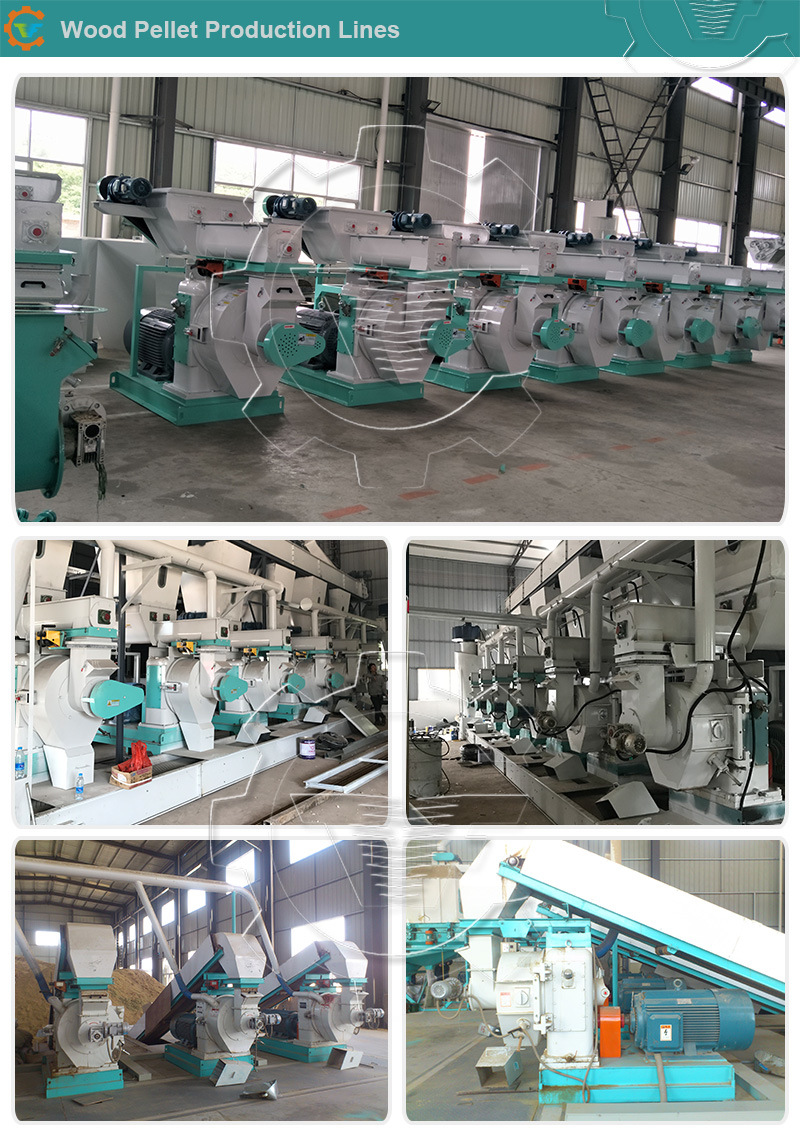 China Professional Biomass Wood Pellet Extruder Pelletizer