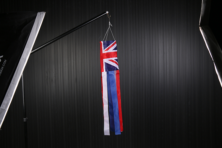 100% Polyester Custom Advertising Flying Carp Windsock Flag