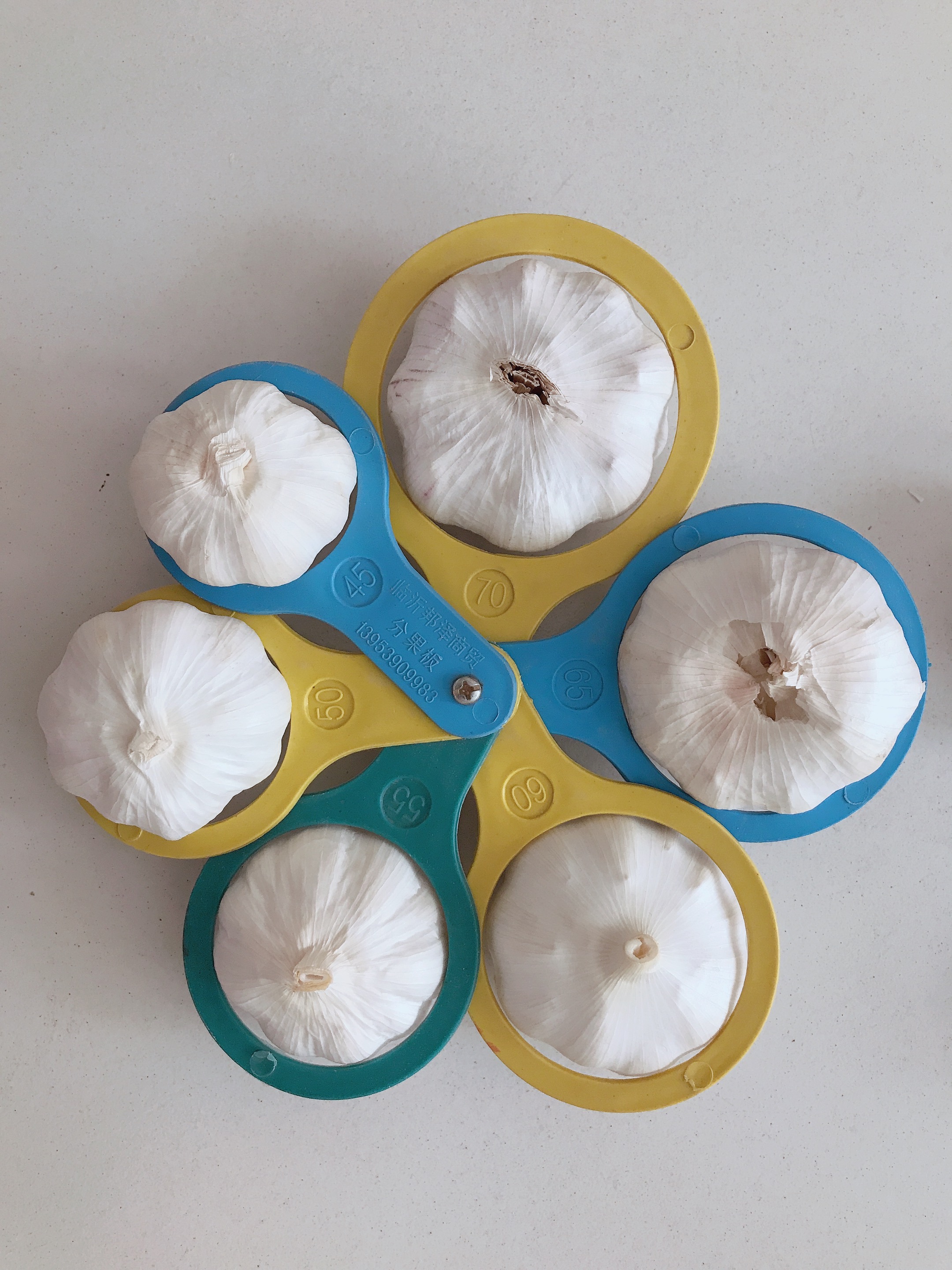 Export Wholesale Fresh Normal White Garlic