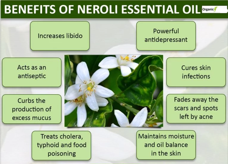 ESSENTIAL OIL