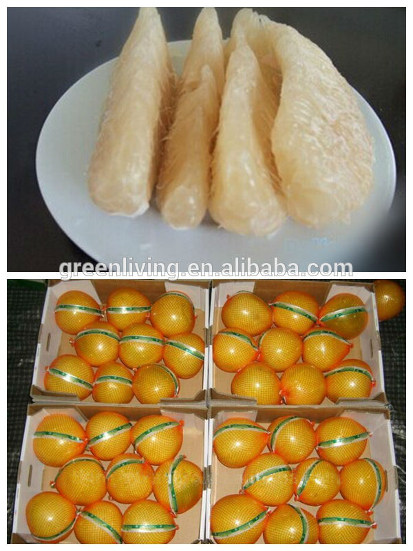 Sweet Thin Skin White Honey Pomelo