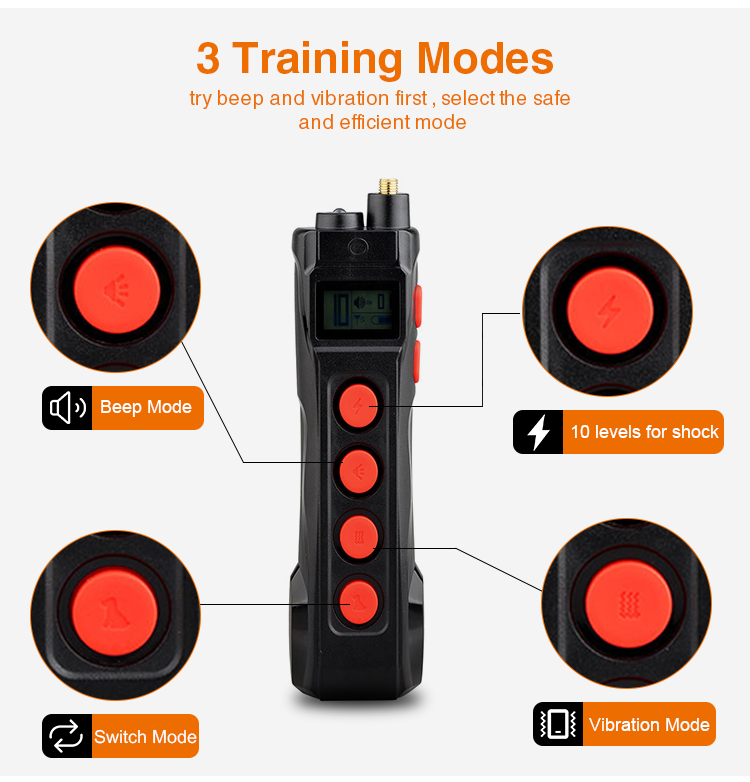 Custom Remote Training Collar