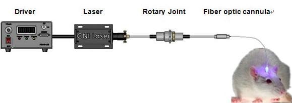 Laser Application