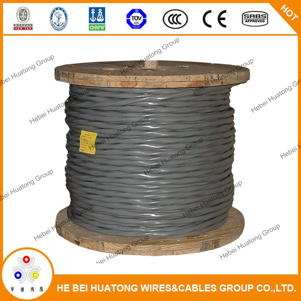 0.6/1kv 1*10AWG+10AWG Annealed Copper Stranded XLPE Insulation PVC Sheath Concentric Cables