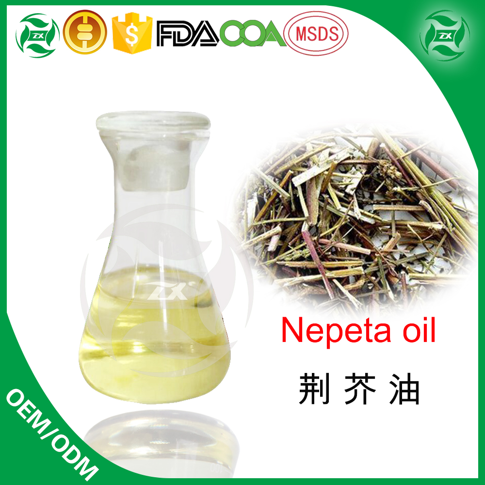 nepeta oil